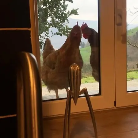 Landhuis Chill & Zen - Caserio Itxaiz - *