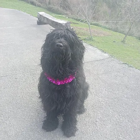 Chill & Zen - Caserio Itxaiz - * Deba