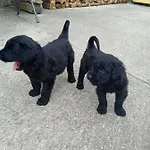 Chill & Zen - Caserio Itxaiz - * Deba