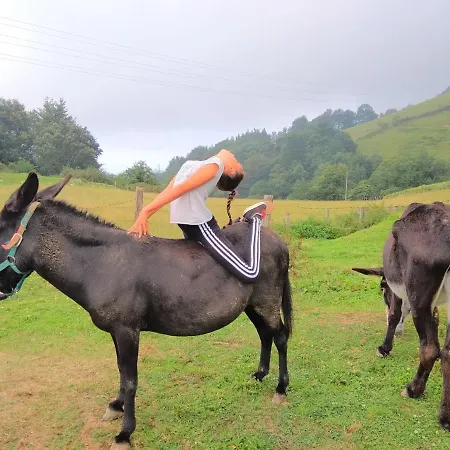 Country house Chill & Zen - Caserio Itxaiz - Deba