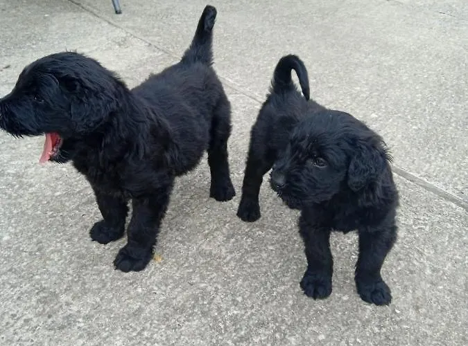 Chill & Zen - Caserio Itxaiz - * Deba