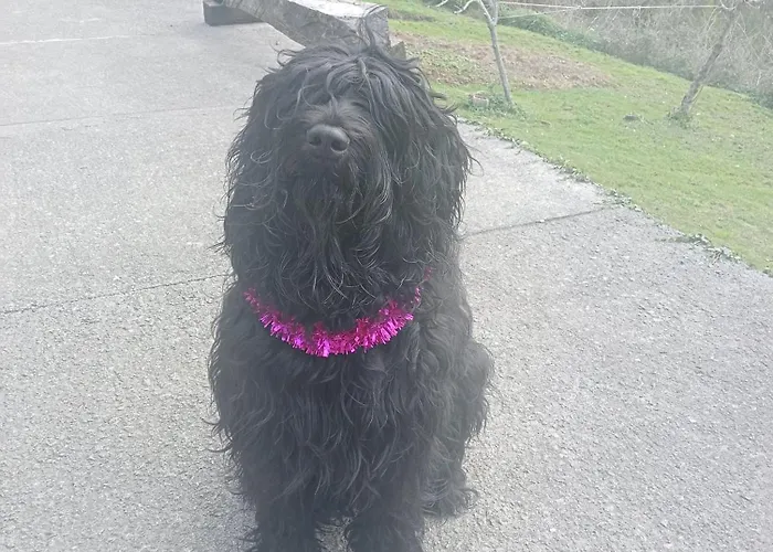 Chill & Zen - Caserio Itxaiz - * Деба